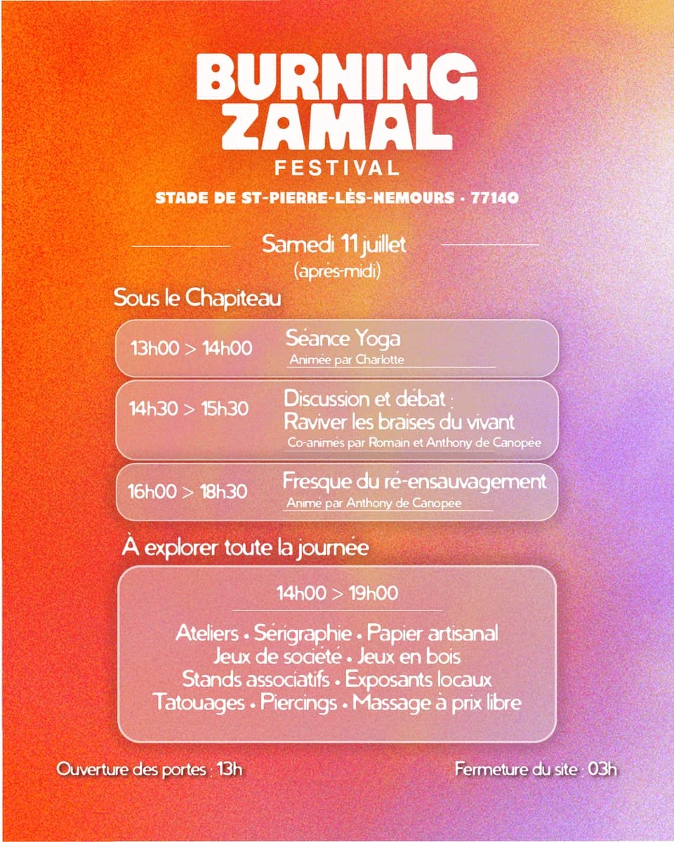 Festival 3